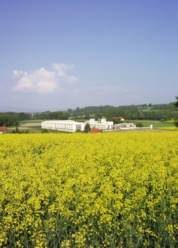 2006: LEHA (Umgebung)